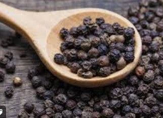 Black Pepper Seeds - (1*500gr)