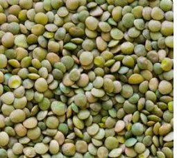 Green  Lentil, 50 Kg AB